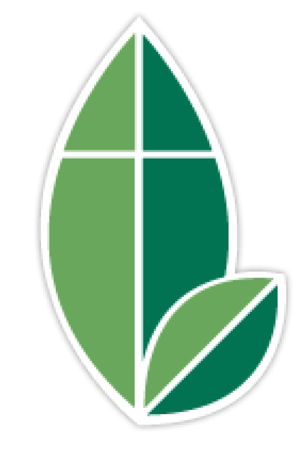 BCH Camp and Conference Center leaf and cross logo