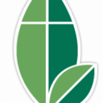 BCH Center leaf logo
